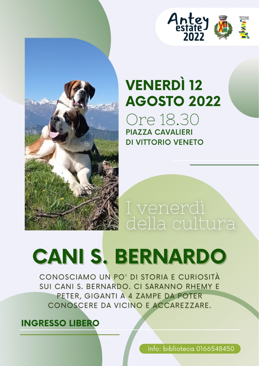 2022/08/12 SAINT BERNARD DOGS